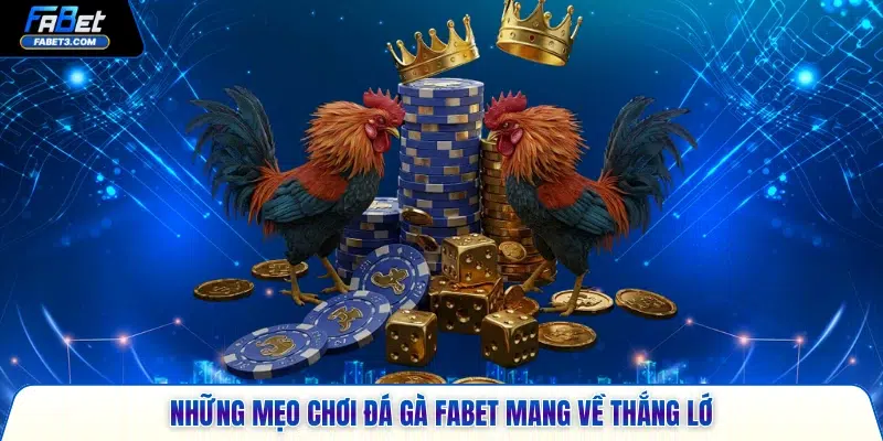 Những mẹo chơi đá gà FABET mang về thắng lớn