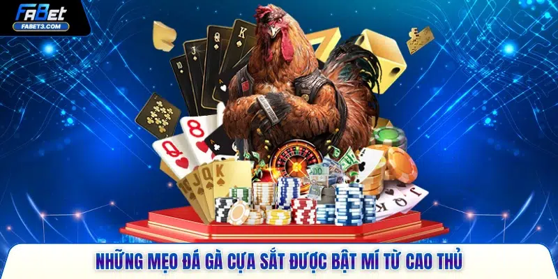 Những mẹo đá gà cựa sắt được bật mí từ cao thủ